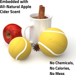 Playology Apple Cider Scented Squeaky Chew Ball Dog Toy, Medium slide 2 of 3