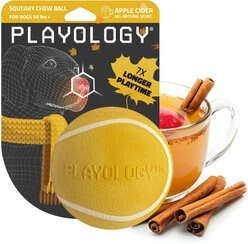 Playology Apple Cider Scented Squeaky Chew Ball Dog Toy, Jumbo