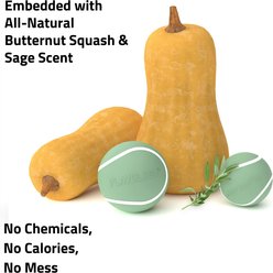 Playology Butternut Squash Scented Squeaky Chew Ball Dog Toy, Medium slide 2 of 3
