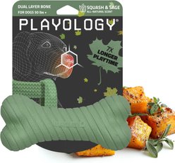 Playology Butternut Squash Scented Dual Layer Bone Dog Toy, Jumbo