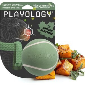 Playology Butternut Squash Scented Squeaky Chew Ball Dog Toy, Medium
