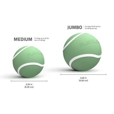 Show full view: Playology Butternut Squash Scented Squeaky Chew Ball Dog Toy, Jumbo slide 4 of 4