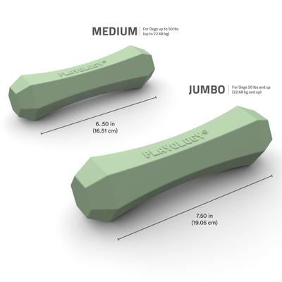 Show full view: Playology Butternut Squash Scented Squeaky Chew Stick Dog Toy, Medium slide 3 of 3