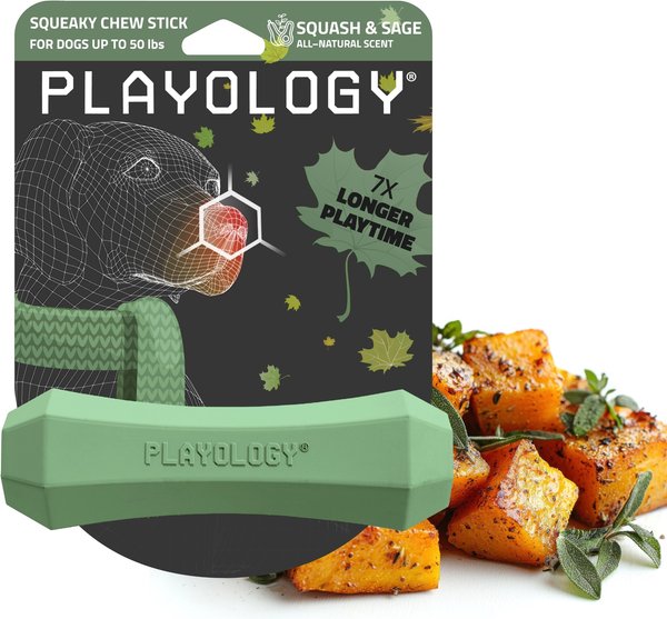 Show full view: Playology Butternut Squash Scented Squeaky Chew Stick Dog Toy, Medium slide 1 of 3