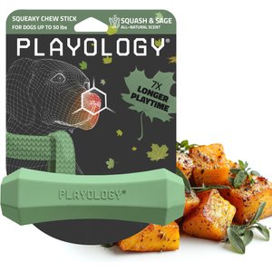 Playology Butternut Squash Scented Squeaky Chew Stick Dog Toy, Medium