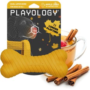 Playology Christmas Apple Cider Scented Dual Layer Bone Dog Toy, Jumbo