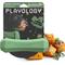 Show in main carousel: Playology Butternut Squash Scented Squeaky Chew Stick Dog Toy, Jumbo slide 1 of 3