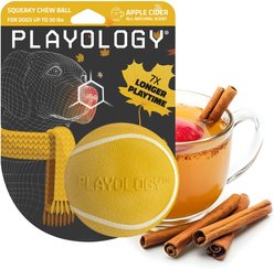 Playology Apple Cider Scented Squeaky Chew Ball Dog Toy, Medium