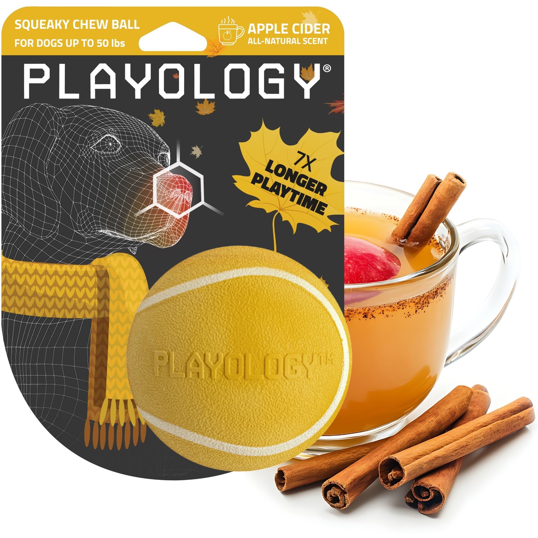 Playology Apple Cider Scented Squeaky Chew Ball Dog Toy, Medium