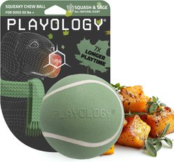 Playology Butternut Squash Scented Squeaky Chew Ball Dog Toy, Jumbo