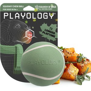 Playology Butternut Squash Scented Squeaky Chew Ball Dog Toy, Jumbo