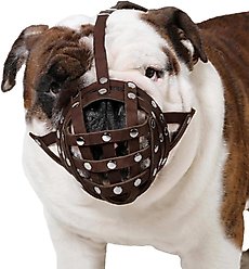 CollarDirect Bulldog Leather Dog Muzzle, Brown