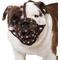 Show in main carousel: CollarDirect Bulldog Leather Dog Muzzle, Brown slide 1 of 6