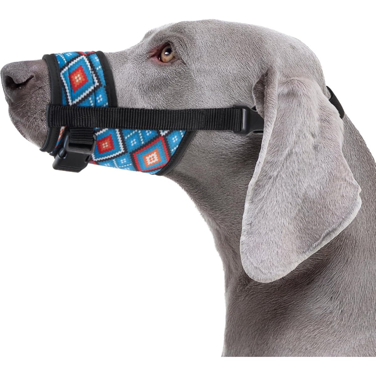 CollarDirect Tribal Pattern 3 Nylon Dog Muzzle, Blue, Medium/Large