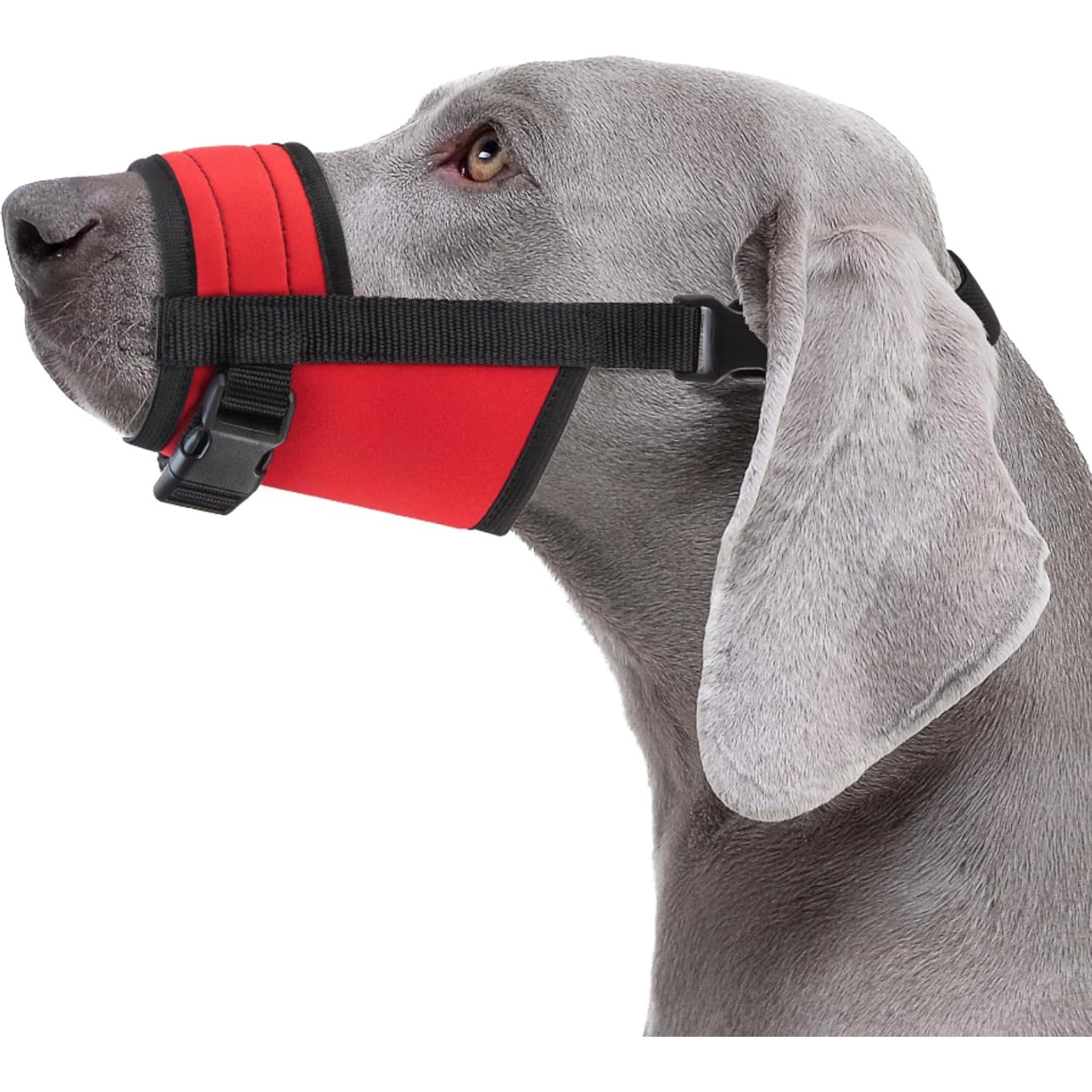 CollarDirect Nylon Dog Muzzle, Red, X-Small/Small