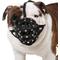 Show in main carousel: CollarDirect Bulldog Leather Dog Muzzle, Black slide 1 of 7