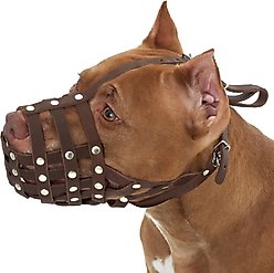 CollarDirect Pitbull Leather Strap Dog Muzzle, Brown