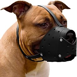 CollarDirect Pitbull Leather Closed Dog Muzzle, Black slide 1 of 6