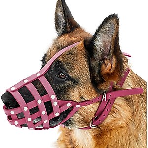 CollarDirect German Shepherd Leather Dog Muzzle, Pink, Large