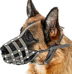 CollarDirect German Shepherd Leather Dog Muzzle, Grey, Medium