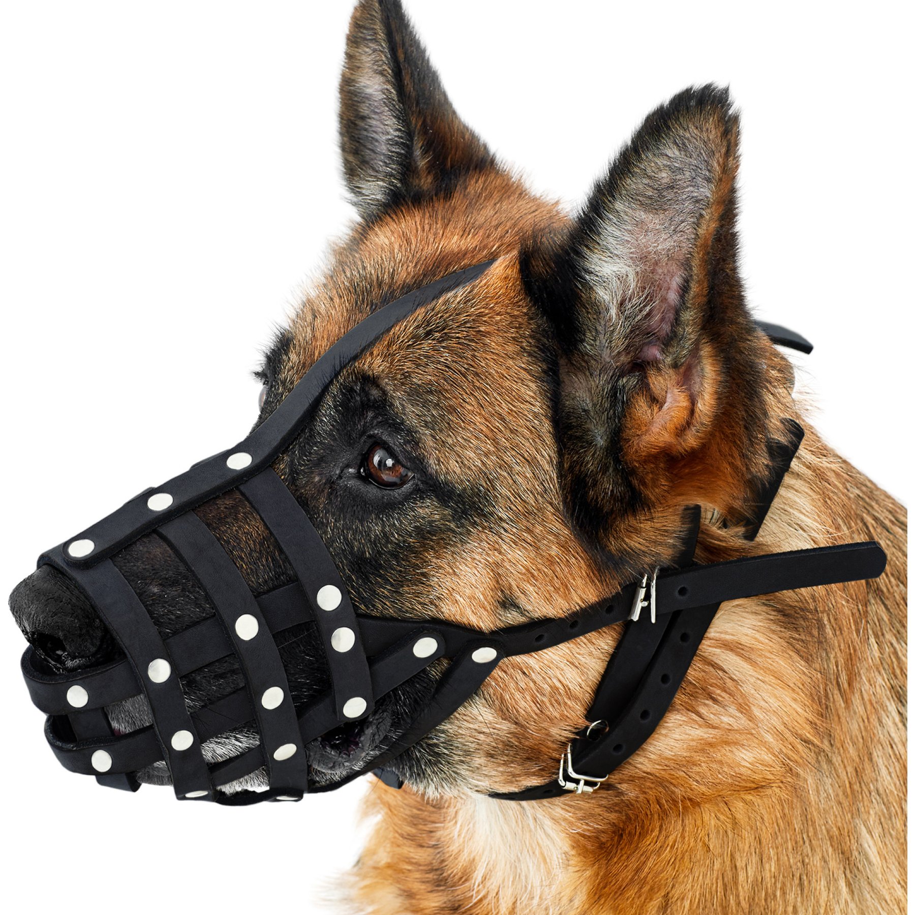 CollarDirect German Shepherd Leather Dog Muzzle, Black, Medium