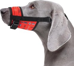 CollarDirect Tribal Pattern Nylon Dog Muzzle, Red, X-Small/Small