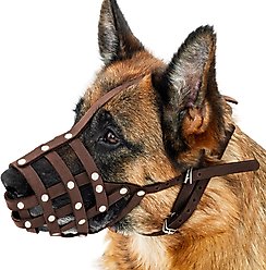 CollarDirect German Shepherd Leather Dog Muzzle, Chestnut Brown, Medium