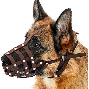 CollarDirect German Shepherd Leather Dog Muzzle, Chestnut Brown, Medium