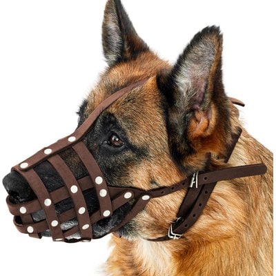 CollarDirect CollarDirect German Shepherd Leather Dog Muzzle, Chestnut Brown, Medium
