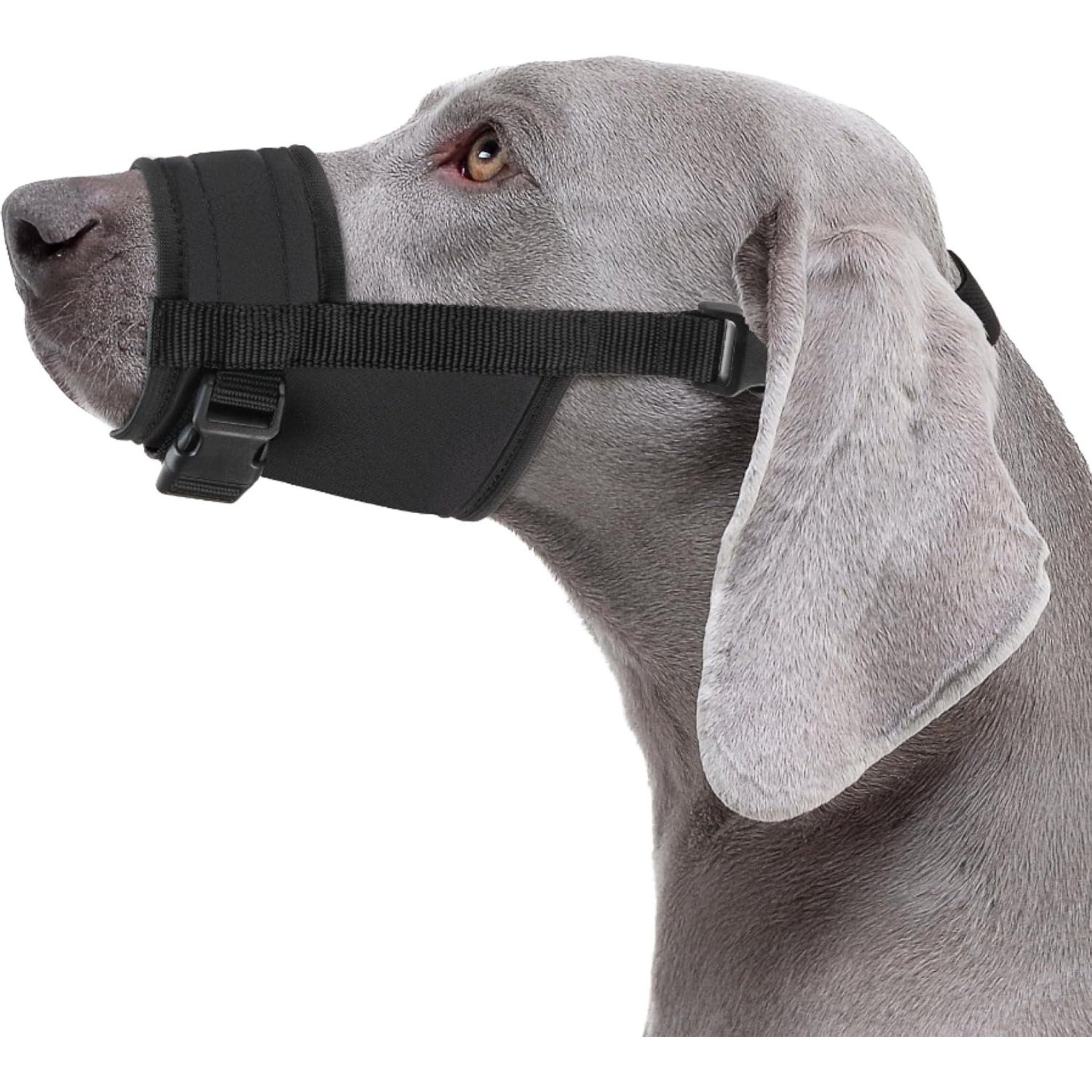 CollarDirect Nylon Dog Muzzle, Black, Large/X-Large