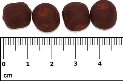 Nutramar Marine Algae & Color Boost Shots Fish Food, 60-g pouch slide 2 of 5