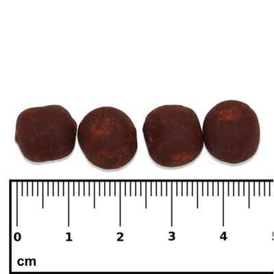 Show full view: Nutramar Marine Algae & Color Boost Shots Fish Food, 60-g pouch slide 5 of 5