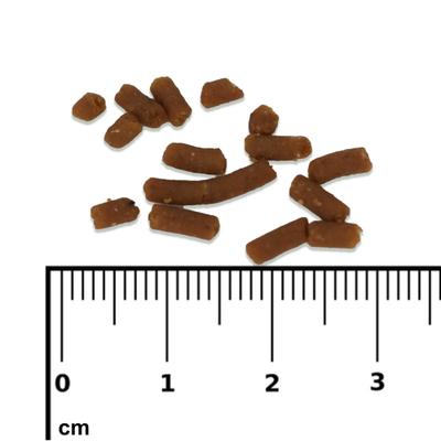 Show full view: Nutramar Freshwater Complete Pellet Fish Food, 70-g jar slide 5 of 5