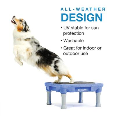 Show full view: Blue-9 Pet Products KLIMB Traction Mat, Black slide 5 of 6