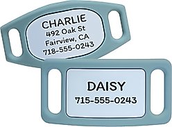 GoTags Engraved Silent Silicone Personalized Dog & Cat ID Tag, Teal, Large