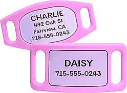 GoTags Engraved Silent Silicone Personalized Dog & Cat ID Tag, Pink, Large