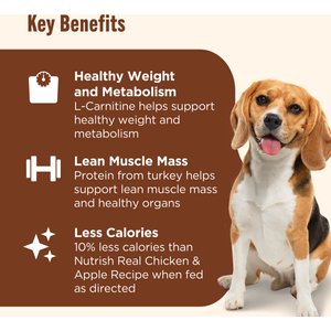 Rachael Ray Nutrish Healthy Weight Real Turkey & Pumpkin Recipe Premium Pate Wet Dog Food, 13-oz can, case of 12