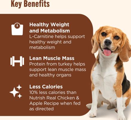 Show full view: Nutrish Healthy Weight Real Turkey & Pumpkin Recipe Premium Pate Wet Dog Food, 13-oz can, case of 12 (Rachael Ray) slide 4 of 12