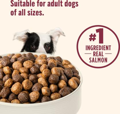 Show full view: Nutrish Whole Health Blend Real Salmon, Veggies & Brown Rice Recipe Gentle Digestion Dry Dog Food, 13-lb bag slide 6 of 12