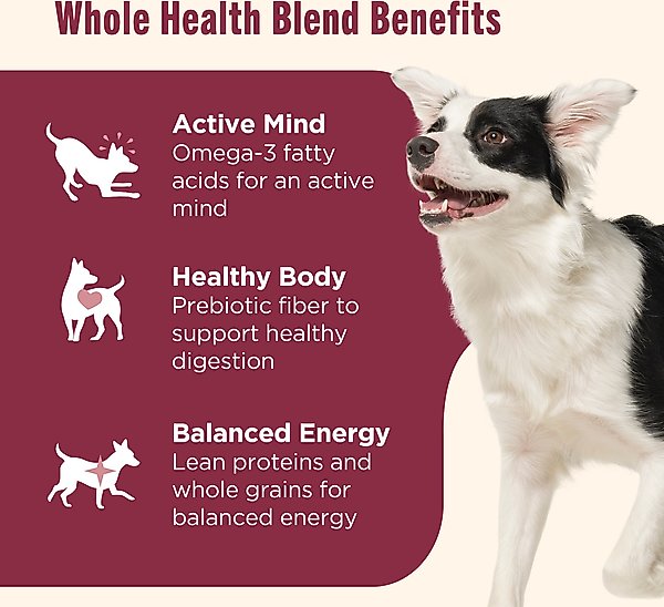 Show full view: Nutrish Whole Health Blend Real Salmon, Veggies & Brown Rice Recipe Gentle Digestion Dry Dog Food, 26-lb bag slide 5 of 13