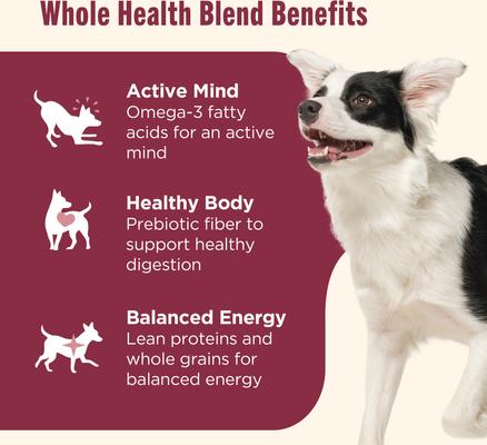 Show full view: Nutrish Whole Health Blend Real Salmon, Veggies & Brown Rice Recipe Gentle Digestion Dry Dog Food, 13-lb bag slide 4 of 12