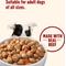 Show in main carousel: Nutrish Whole Health Blend Chunks in Gravy Real Beef & Veggies Dog Wet Food, 13-oz can, 12 count slide 6 of 12