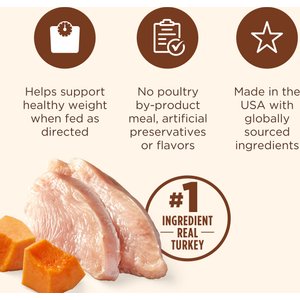 Rachael Ray Nutrish Healthy Weight Real Turkey & Pumpkin Recipe Premium Pate Wet Dog Food, 13-oz can, case of 12