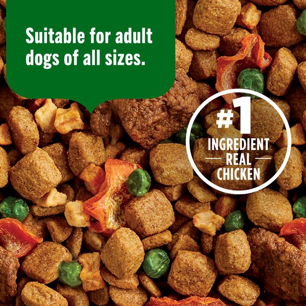 Nutrish Dish Chicken & Brown Rice Recipe with Veggie & Fruit Blend Dry Dog Food