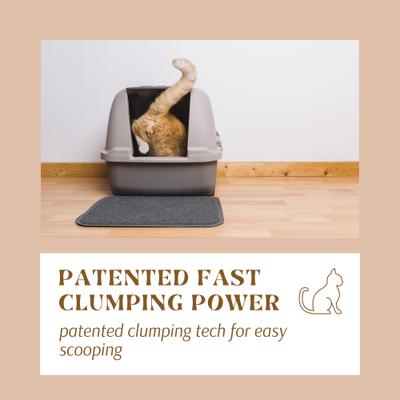 Show full view: CatSpot Litter Rice Based Clumping Cat Litter, 10-lb bag slide 6 of 10