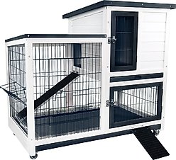 FunXplore Outdoor Rabbit Hutch with Urine Guards, White
