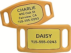 GoTags Engraved Silent Silicone Personalized Dog & Cat ID Tag, Yellow, Large