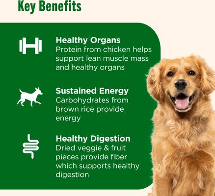 Show full view: Nutrish Dish Chicken & Brown Rice Recipe with Veggie & Fruit Blend Dry Dog Food, 11.5-lb bag (Rachael Ray) slide 4 of 13