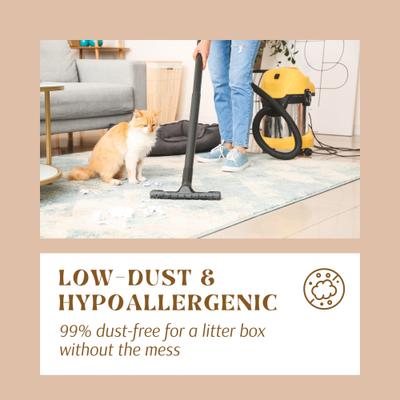 Show full view: CatSpot Litter Rice Based Clumping Cat Litter, 10-lb bag slide 8 of 10