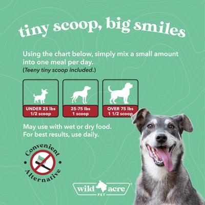 Show full view: Wild Acre Pet Advanced Dental Greens Powder Supplement for Dogs, 2.5-oz jar slide 6 of 7